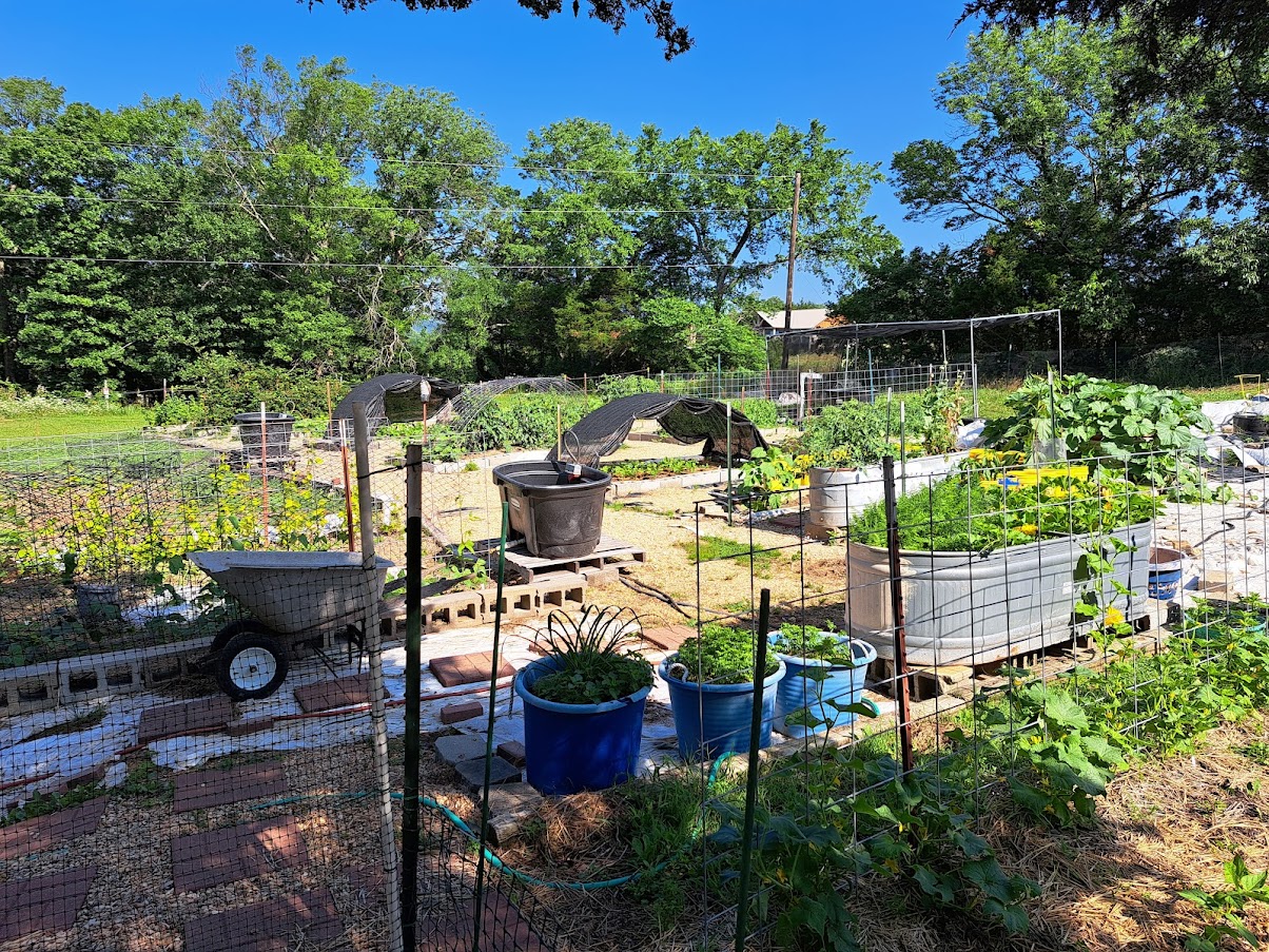 community garden 2023